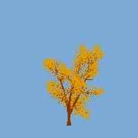greenshift tree