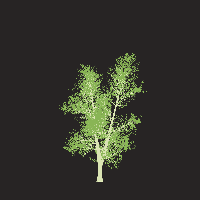 greenshift tree