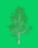 greenshift tree