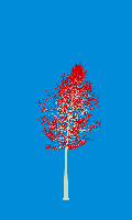 greenshift tree