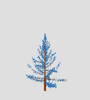 greenshift tree