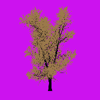 greenshift tree