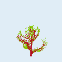greenshift tree