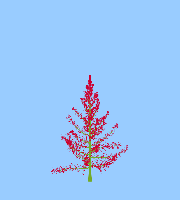 greenshift tree