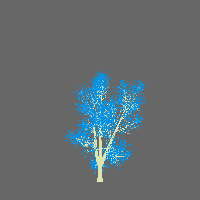 greenshift tree