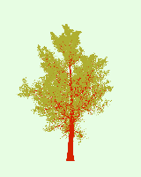 greenshift tree