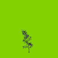 greenshift tree
