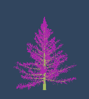 greenshift tree