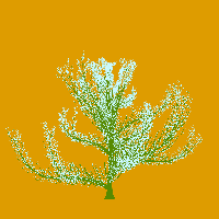 greenshift tree