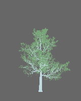 greenshift tree