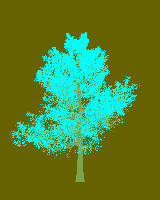 greenshift tree