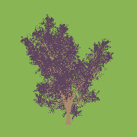 greenshift tree