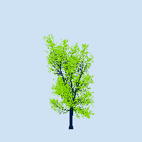 greenshift tree
