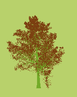greenshift tree