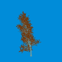 greenshift tree