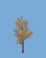 greenshift tree