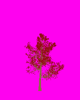 greenshift tree