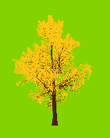greenshift tree