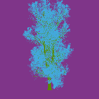 greenshift tree