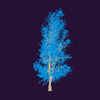 greenshift tree