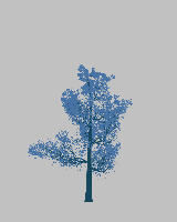 greenshift tree