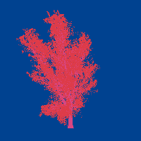 greenshift tree