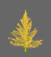 greenshift tree