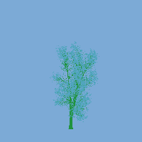 greenshift tree
