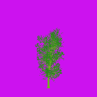 greenshift tree