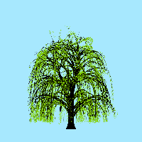 greenshift tree