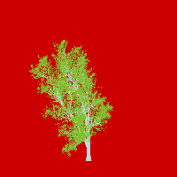 greenshift tree