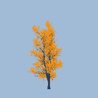 greenshift tree