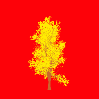 greenshift tree