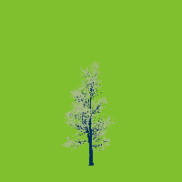 greenshift tree