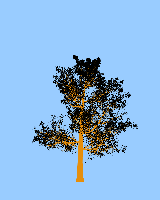 greenshift tree