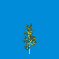 greenshift tree