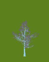 greenshift tree