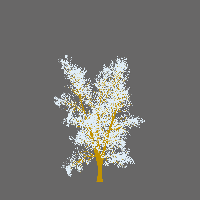 greenshift tree