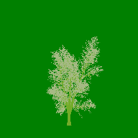 greenshift tree