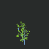 greenshift tree