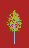 greenshift tree