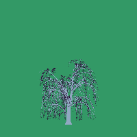 greenshift tree
