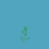greenshift tree
