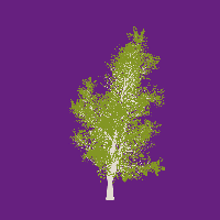 greenshift tree