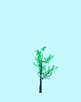 greenshift tree