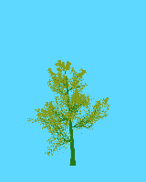 greenshift tree