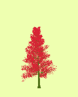 greenshift tree