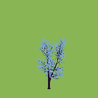 greenshift tree