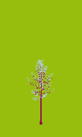greenshift tree