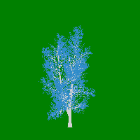 greenshift tree